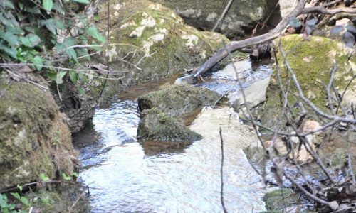 Chorreras Valdepeñas de Jaén río