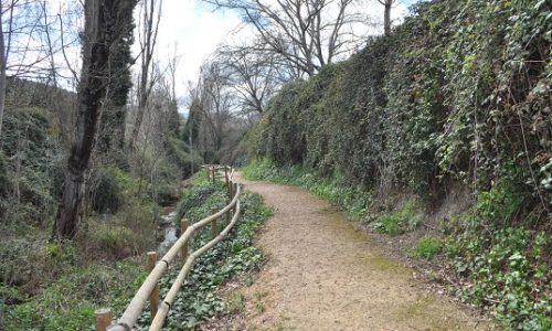 Vereda en las chorreras Valdepeñas de Jaén