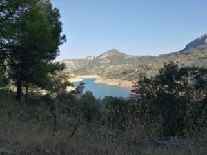 vistas embalse del quiebrajano árboles
